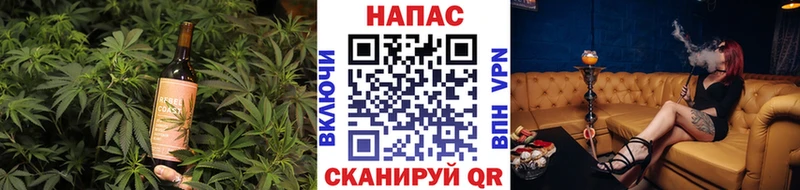 OMG как зайти  Североморск  Cannafood конопля 